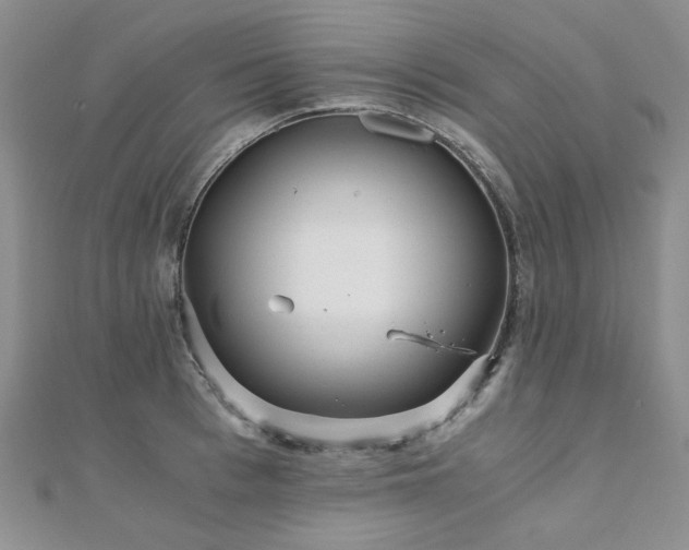 X0000110870993200906181158