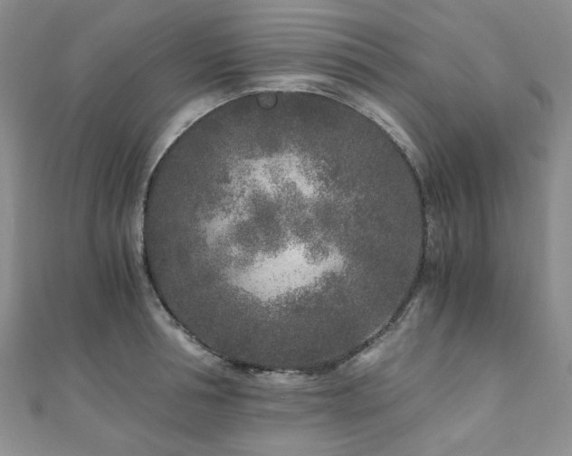 X0000110870994200906181158