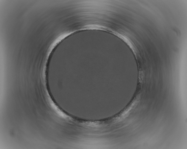 X0000110870995200906181158