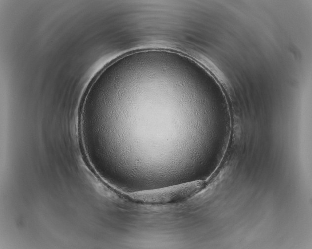 X0000110870996200906181158