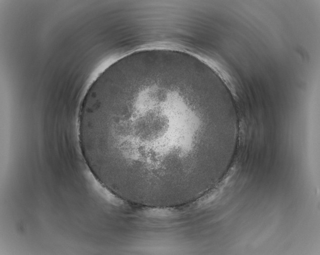 X0000110870998200906181158