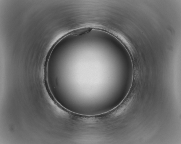 X0000110870999200906181158