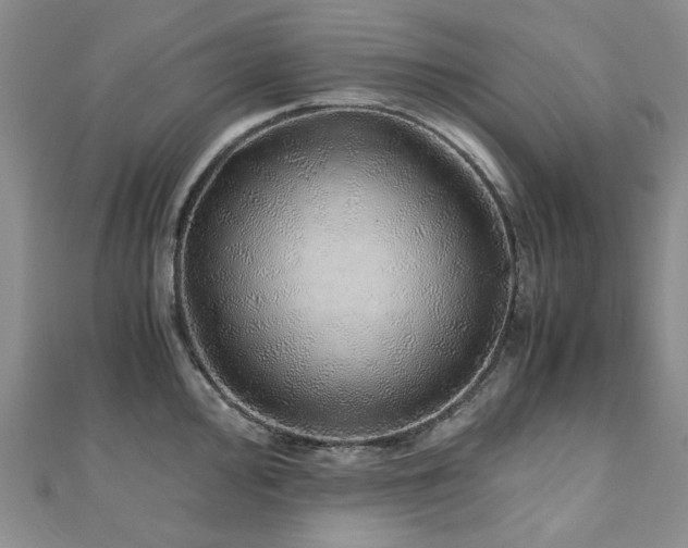 X0000110871000200906181158