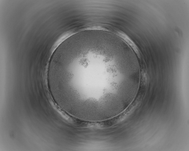 X0000110871002200906181158