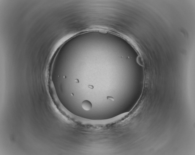 X0000110871003200906181158