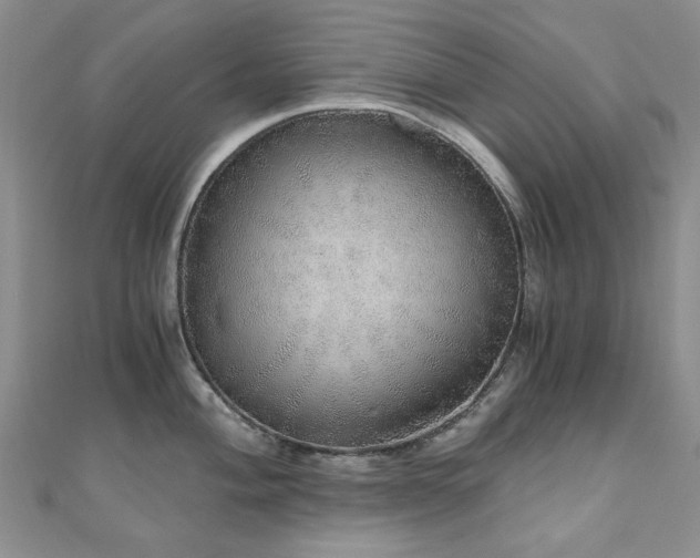 X0000110871004200906181158