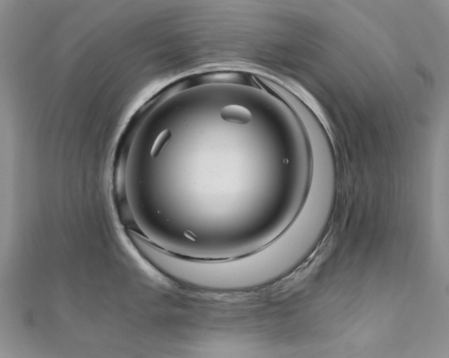 X0000110871005200906181158