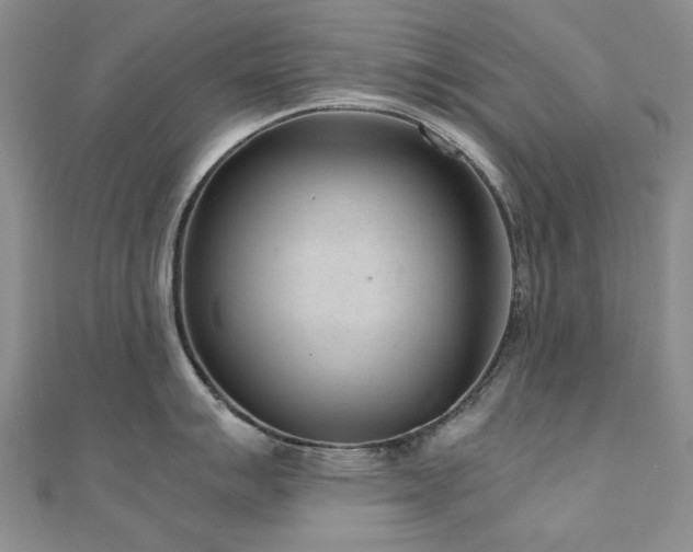 X0000110871007200906181158