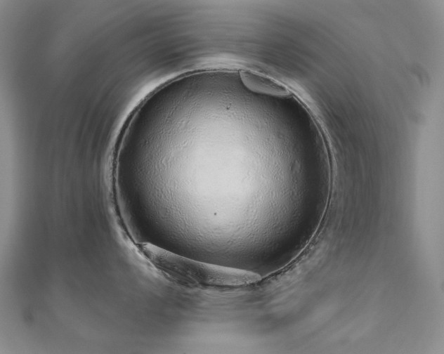 X0000110871008200906181158