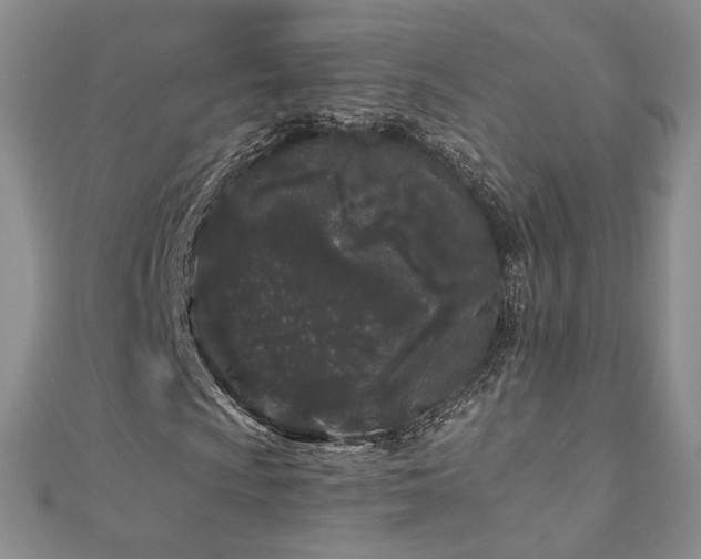 X0000110871009200906181157