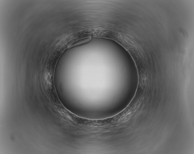 X0000110871010200906181157