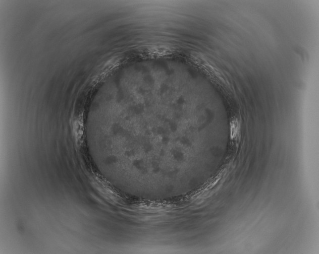 X0000110871011200906181157