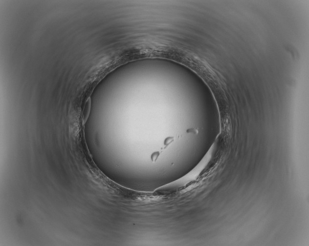 X0000110871012200906181157