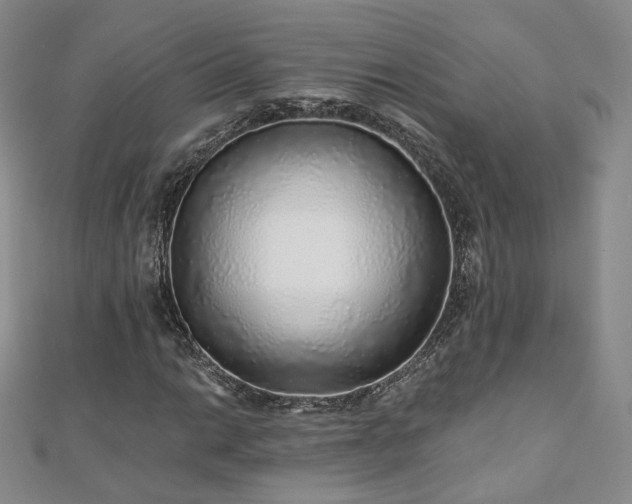 X0000110871014200906181157