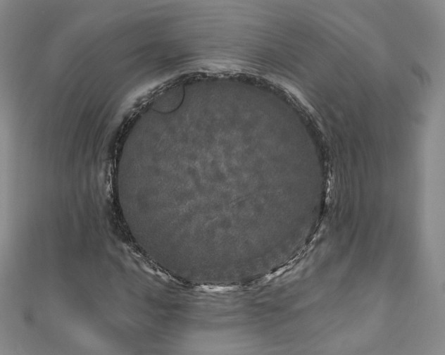 X0000110871016200906181157