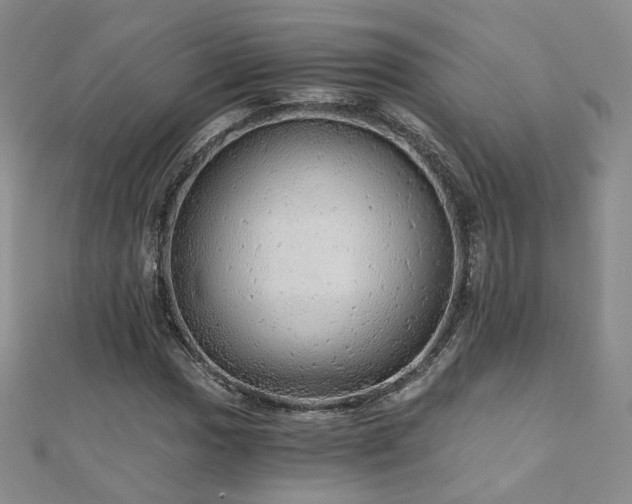 X0000110871017200906181157