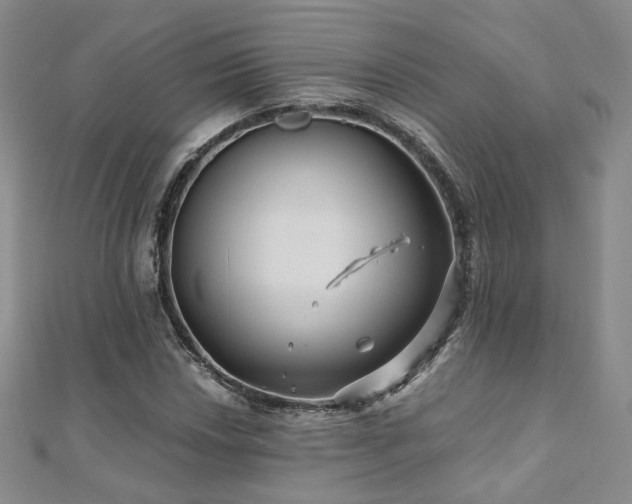 X0000110871018200906181157