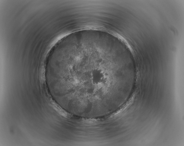 X0000110871019200906181157