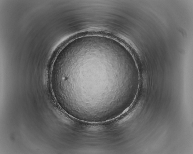 X0000110871021200906181157