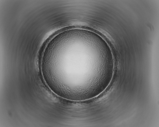 X0000110871022200906181157