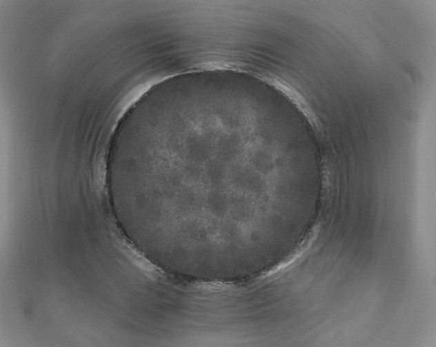 X0000110871023200906181157