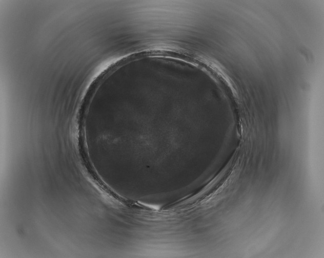 X0000110871024200906181158