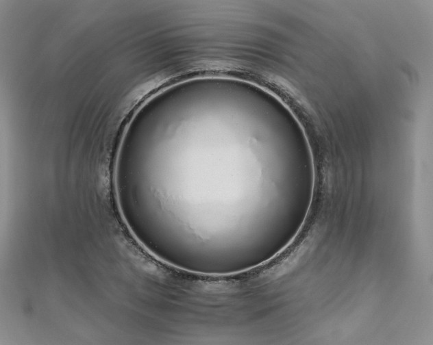 X0000110871025200906181158