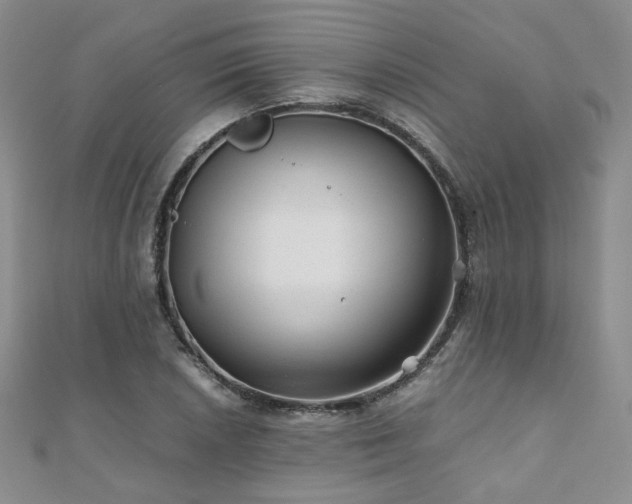 X0000110871026200906181158