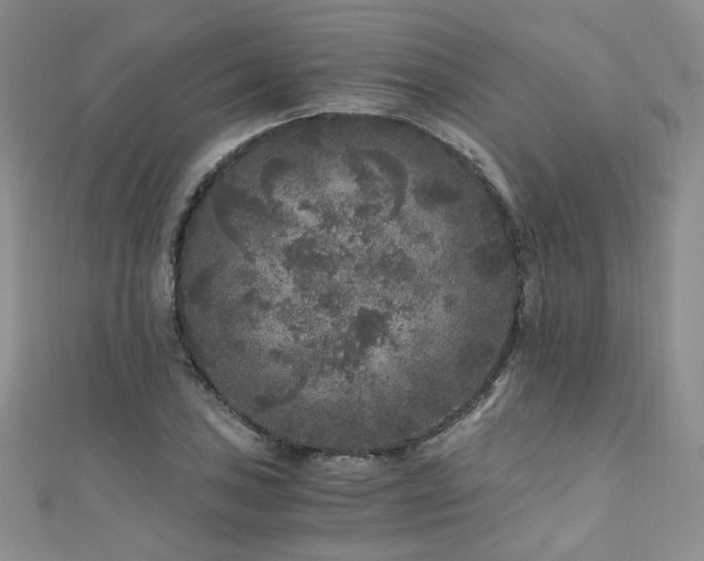 X0000110871027200906181158