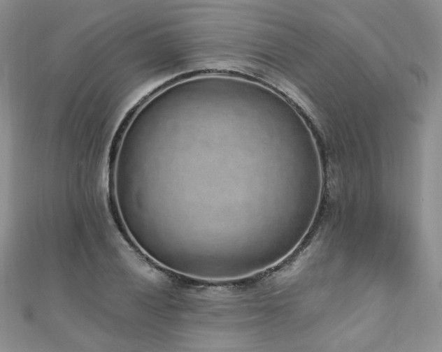 X0000110871028200906181158