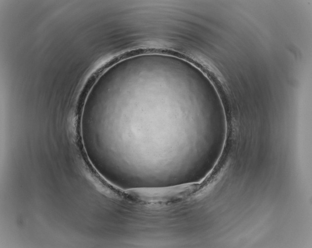 X0000110871029200906181158