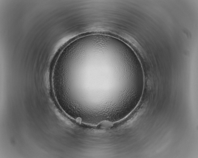 X0000110871030200906181158