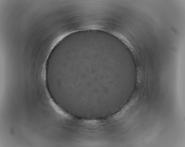 X0000110871031200906181158