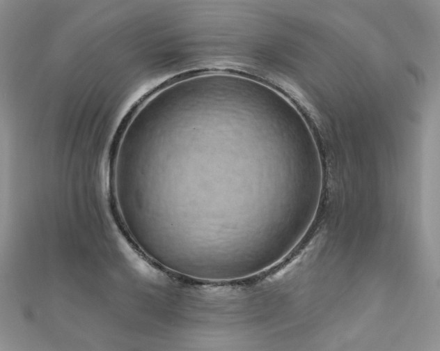 X0000110871032200906181158