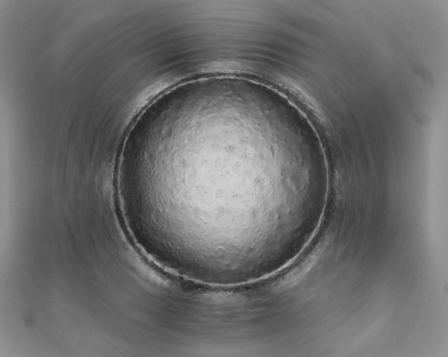 X0000110871033200906181158