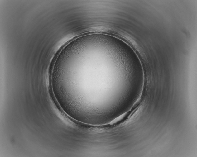 X0000110871034200906181158