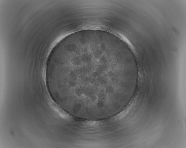 X0000110871035200906181158