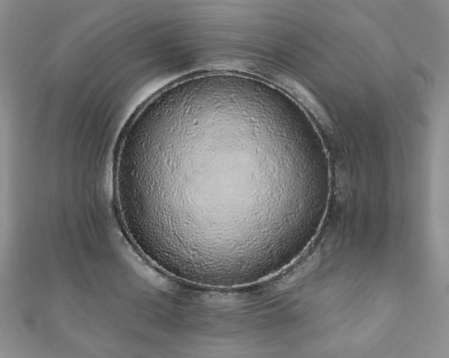 X0000110871036200906181158