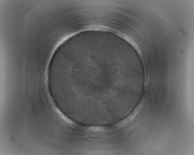 X0000110871037200906181158