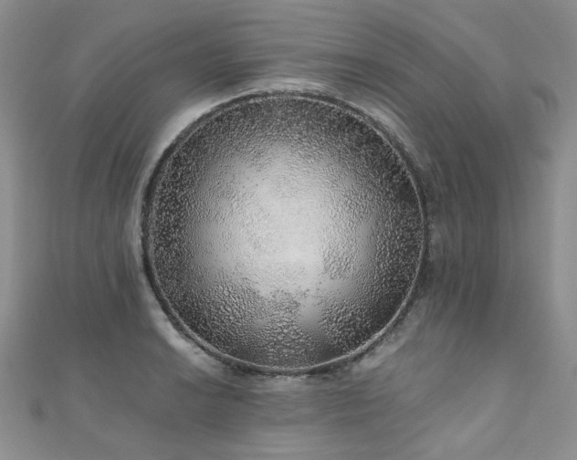 X0000110871038200906181158