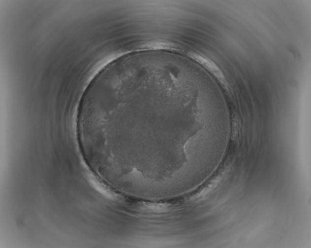 X0000110871039200906181158