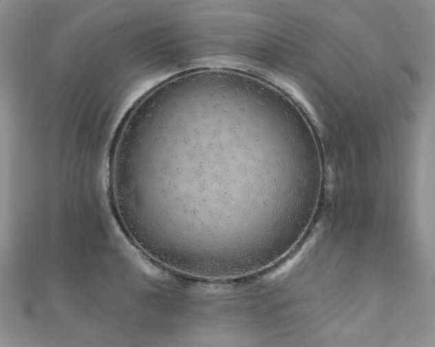 X0000110871040200906181158