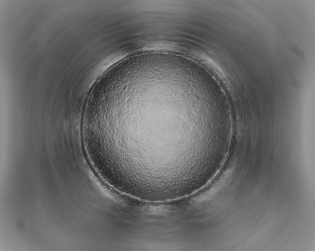 X0000110871041200906181158