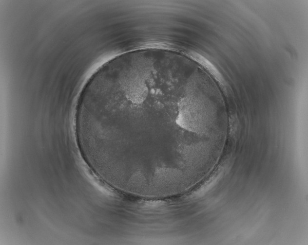 X0000110871043200906181158