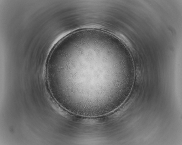 X0000110871044200906181158