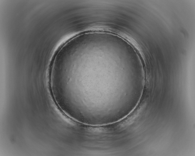 X0000110871045200906181158