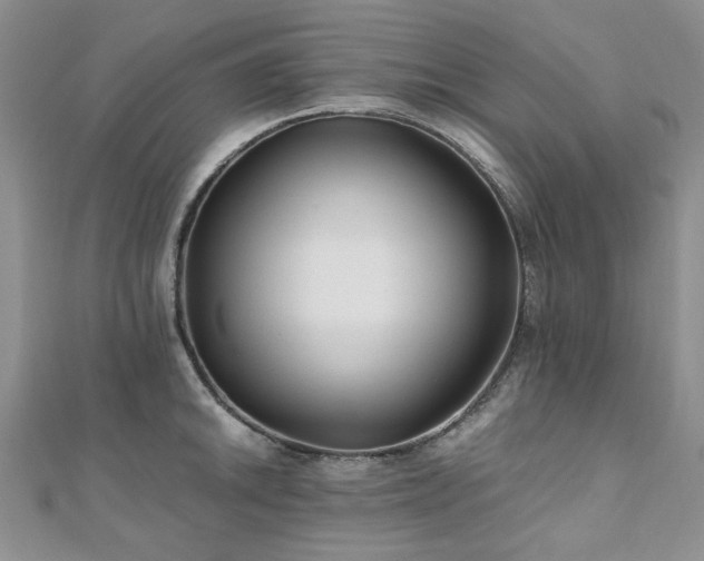 X0000110871046200906181158