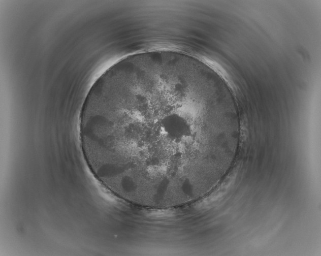 X0000110871047200906181158