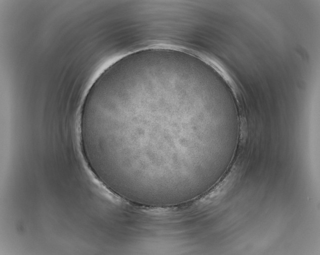 X0000110871048200906181158