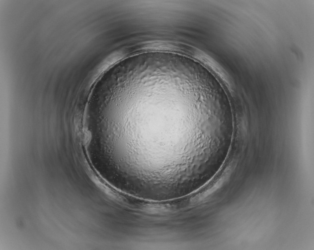 X0000110871049200906181158